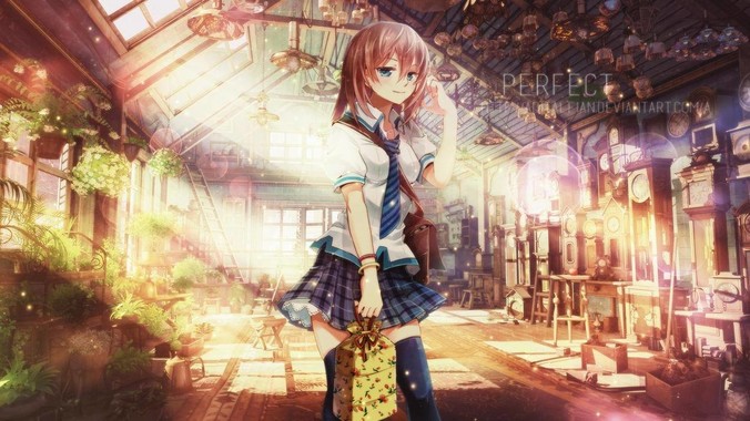 养乌龟如何降低换水频率？